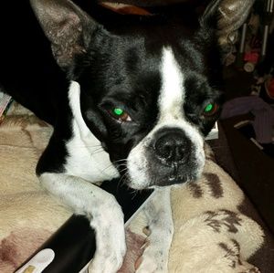 Meet your Posher, Heather